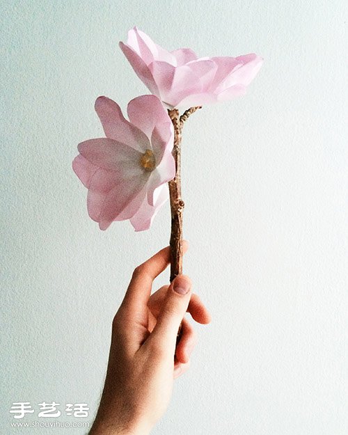 ֹƯľmķD̳ -  www.888bfw.com