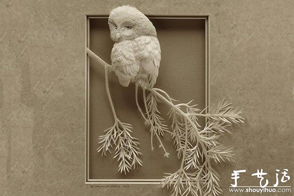 DIY3D -  www.888bfw.com