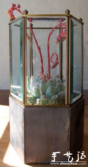 DIYֲ -  www.888bfw.com