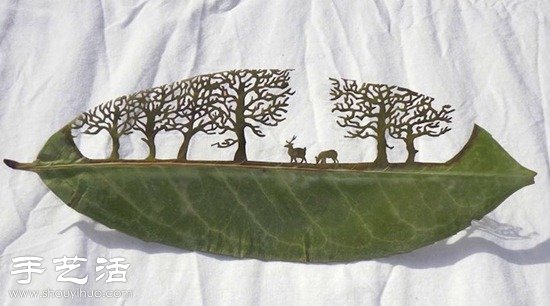 ںЇ񻨹ˇĘ~ -  www.888bfw.com