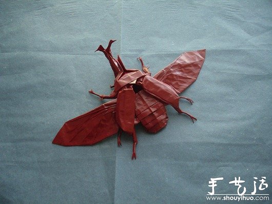 ̓ۼƷ -  www.888bfw.com