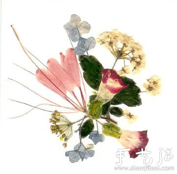 ѺֹDIY -  www.888bfw.com
