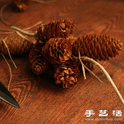 ׃U錚 DIYƯbƷ -  www.888bfw.com