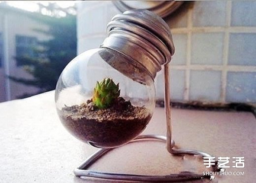 廢燈泡創(chuàng)意DIY 制作迷你多肉植物盆景的教程 - www.888bfw.com