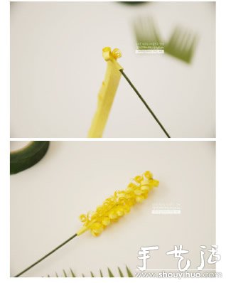 ɫƯļˇ̳ -  www.888bfw.com