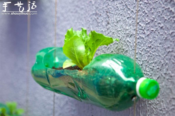 DIYϵĴֱƿ@ -  www.888bfw.com