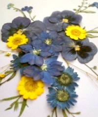ѺֹDIY -  www.888bfw.com