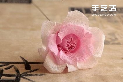 滨ֹۼ۷D̳ -  www.888bfw.com