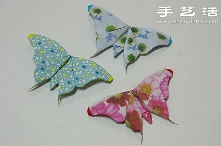 ĺۼ̳̈D -  www.888bfw.com