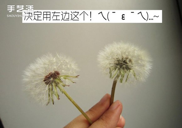 Ƕ֬ѹӢ̳ ѹӢ֬˱DIY -  www.888bfw.com