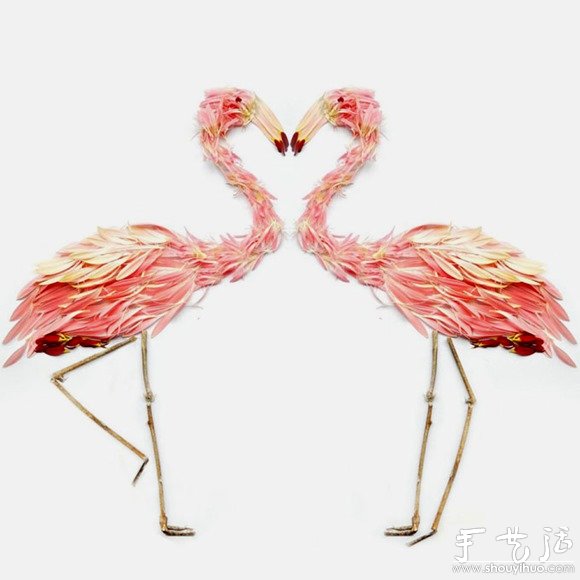 rֲ֦DIYB -  www.888bfw.com