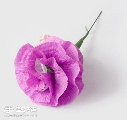 yֹD̳ -  www.888bfw.com