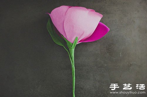 ֹõ廨D ֹõ廨 -  www.888bfw.com