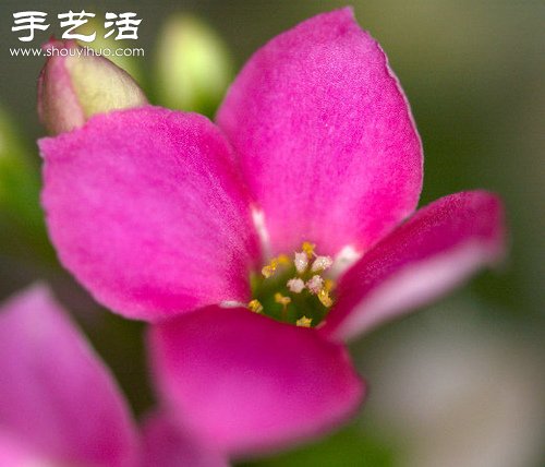 ֹ_(d)˺(jin)DIYh(hun)W -  www.888bfw.com