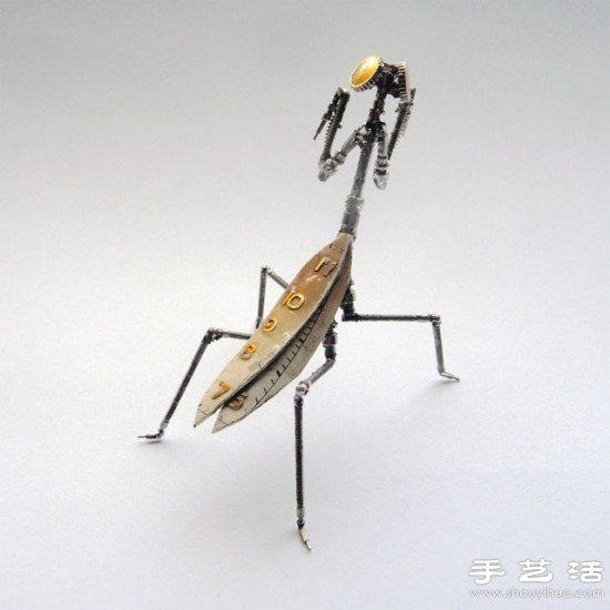 ֱ㲿+f ţDIYCеx܊F -  www.888bfw.com