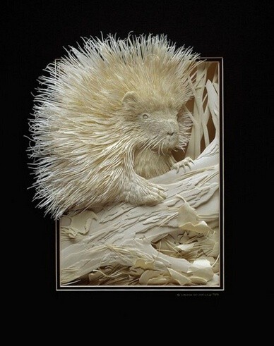 Calvin Nicholls Ą(chung)⼈ˇg(sh)Ʒp -  www.888bfw.com