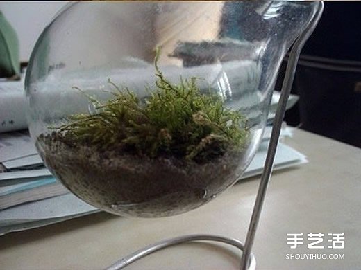 廢燈泡創(chuàng)意DIY 制作迷你多肉植物盆景的教程 - www.888bfw.com