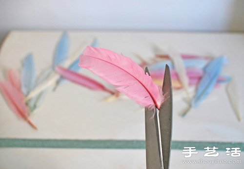 ֹël(f)/ñD̳ -  www.888bfw.com