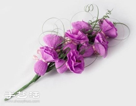 yֹD̳ -  www.888bfw.com