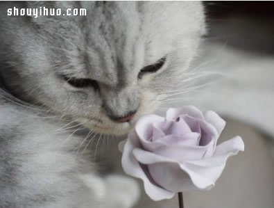 ܛõ廨DIY ƯֹֹD̳ -  www.888bfw.com