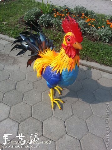 UƿDIYuĽ̳ -  www.888bfw.com
