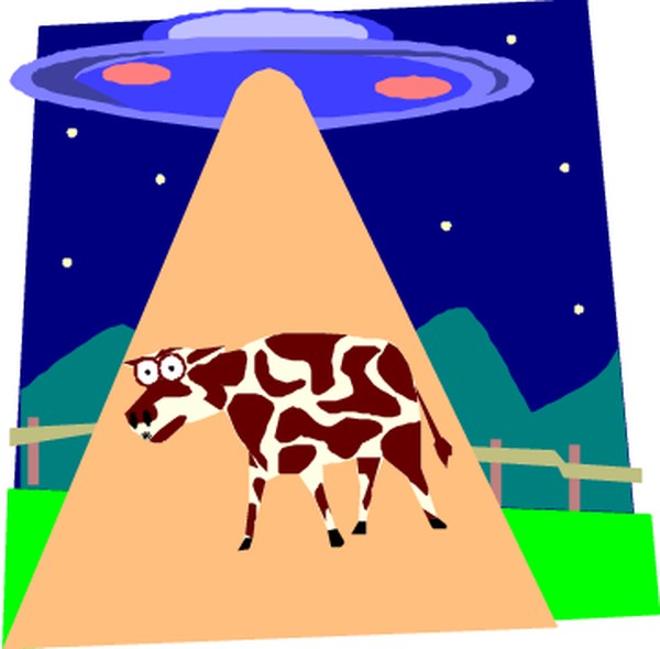 ǁţ